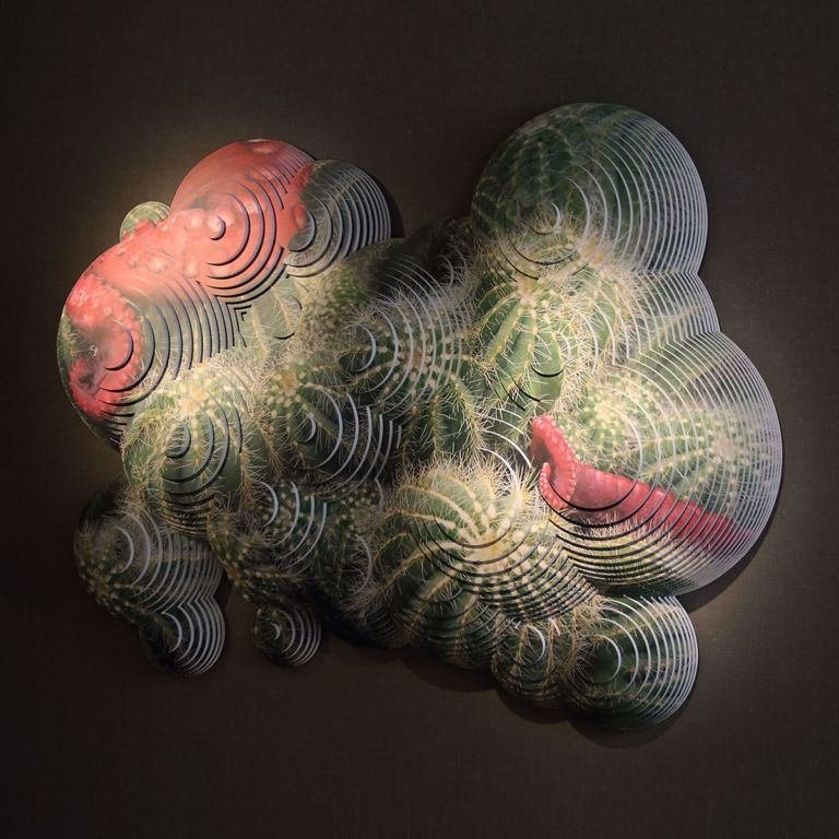 Lit photographic wall sculpture of a cactus octopus hybrid