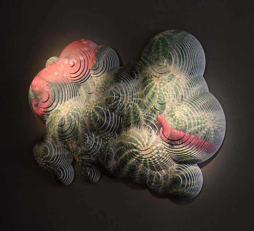 Cactopus