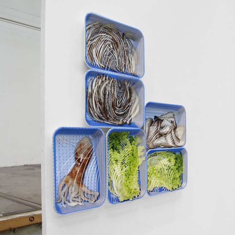 Photographic contour sculpture portraying small fish and lettuce in ocean blue foam trays